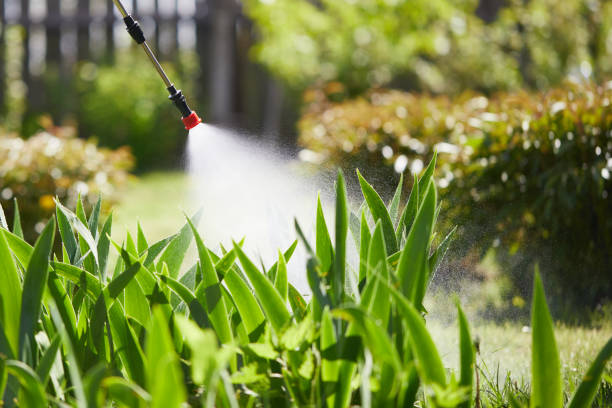 Tamper-Resistant Bait Stations for Rodents in Villanova