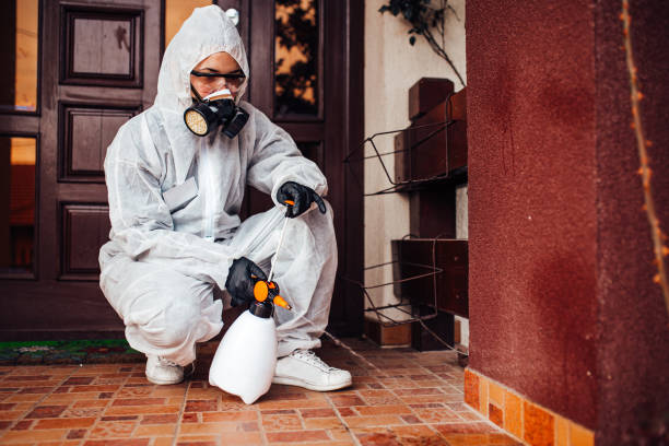 Attic and Crawl Space Rodent Treatment in Villanova