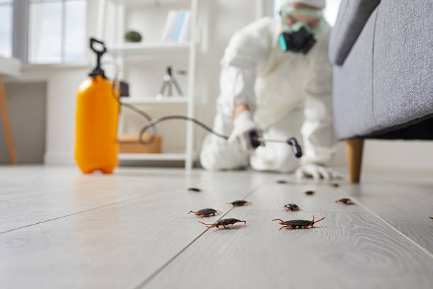 Commercial Rodent Management in Villanova